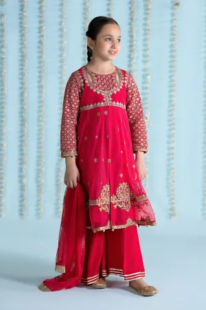 3 Piece Embroidered Net Suit | MKS-EA24-02