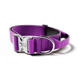 5cm Combat® Collar | With Handle & Rated Clip - PLATINUM Purple v2.0