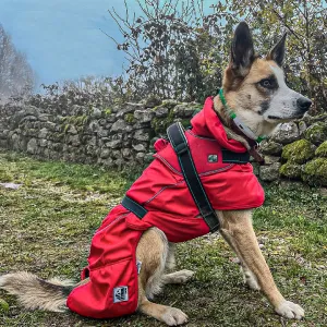 Ancol Extreme Blizzard Dog Coat