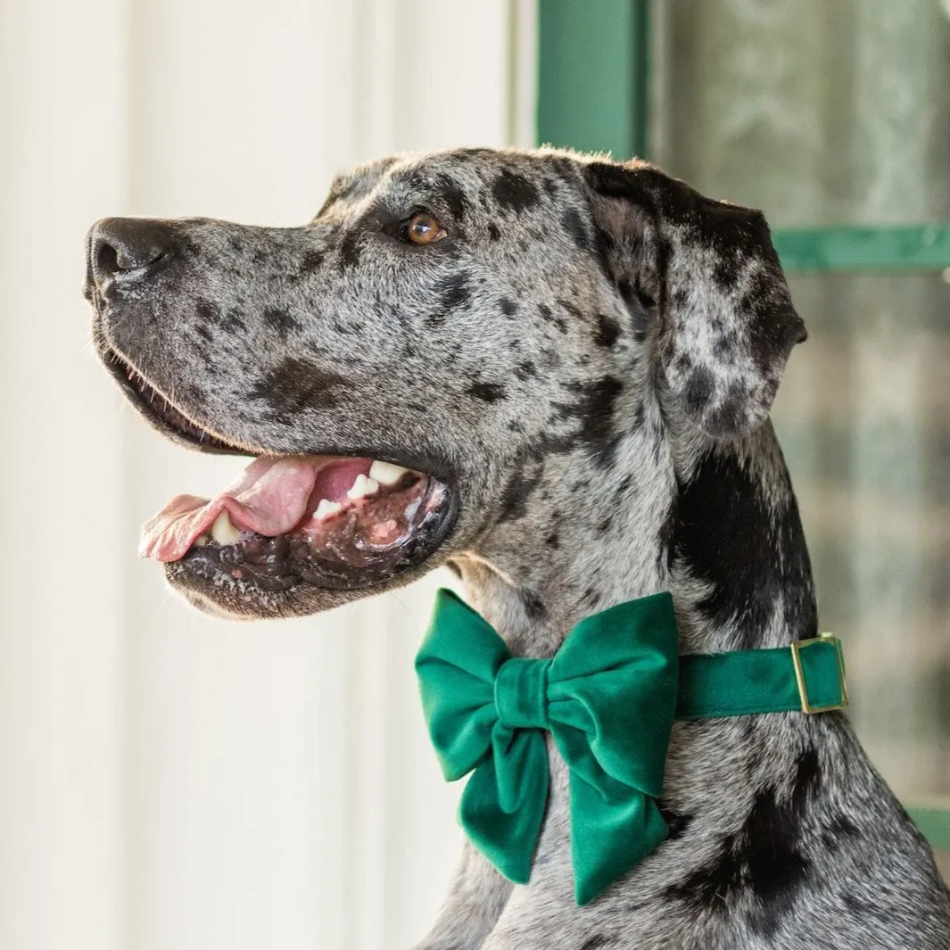 Forest Green Velvet Lady Bow Collar