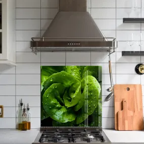 Green Lettuce | Glass Printed Backsplash for your Kitchen