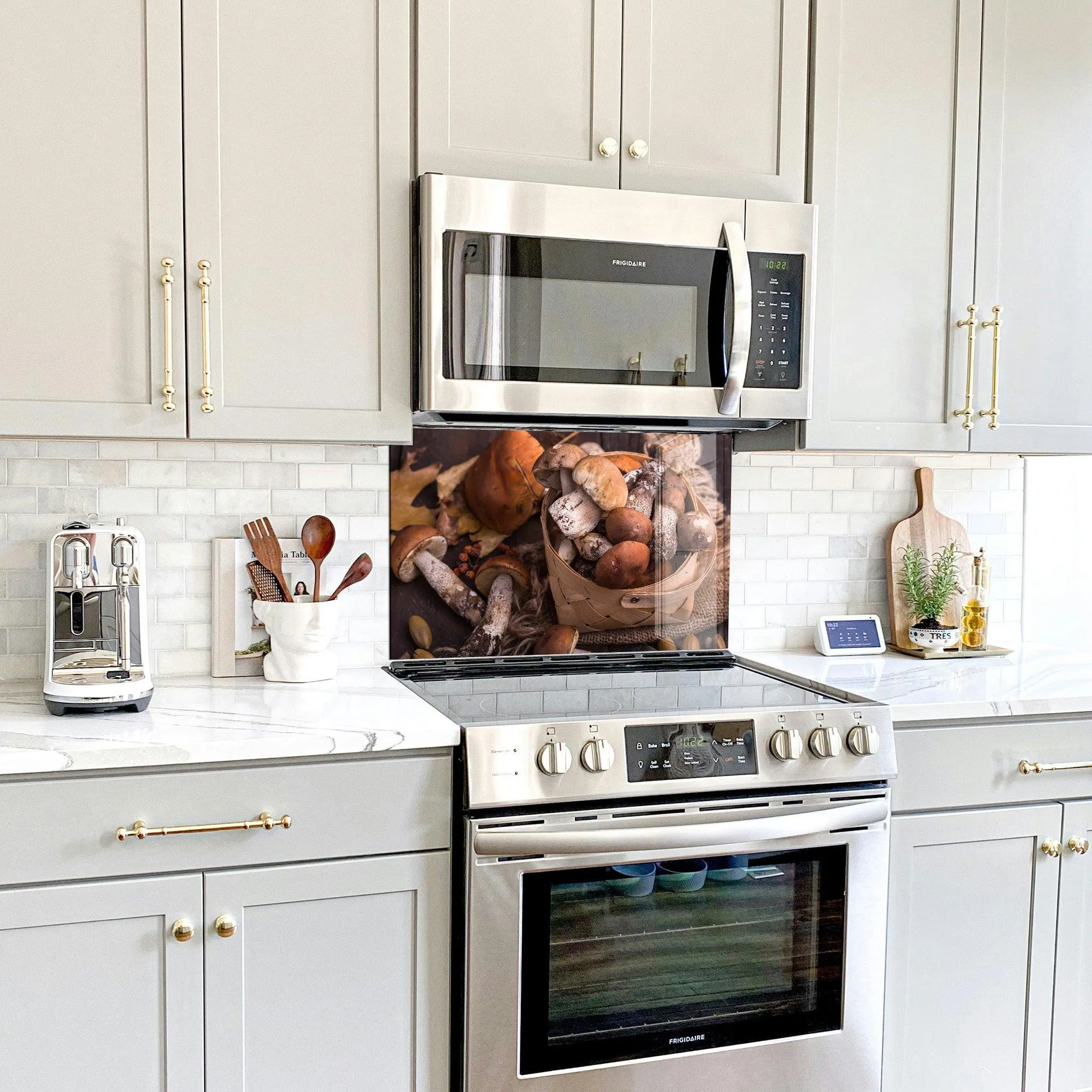 Mushrooms | Glass Printed Backsplash for your Kitchen