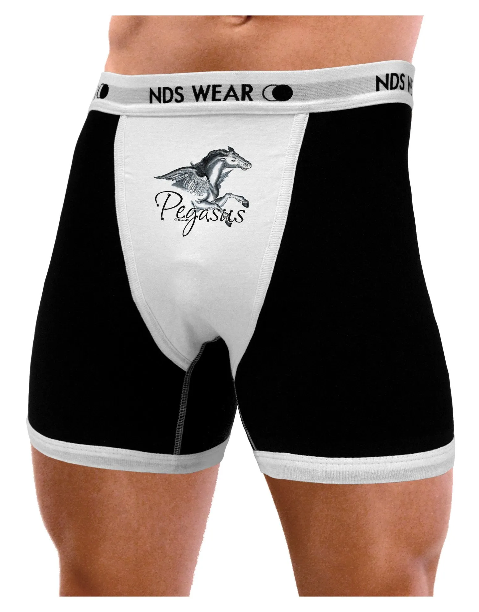 Pegasus Color Illustration Mens Boxer Brief Underwear