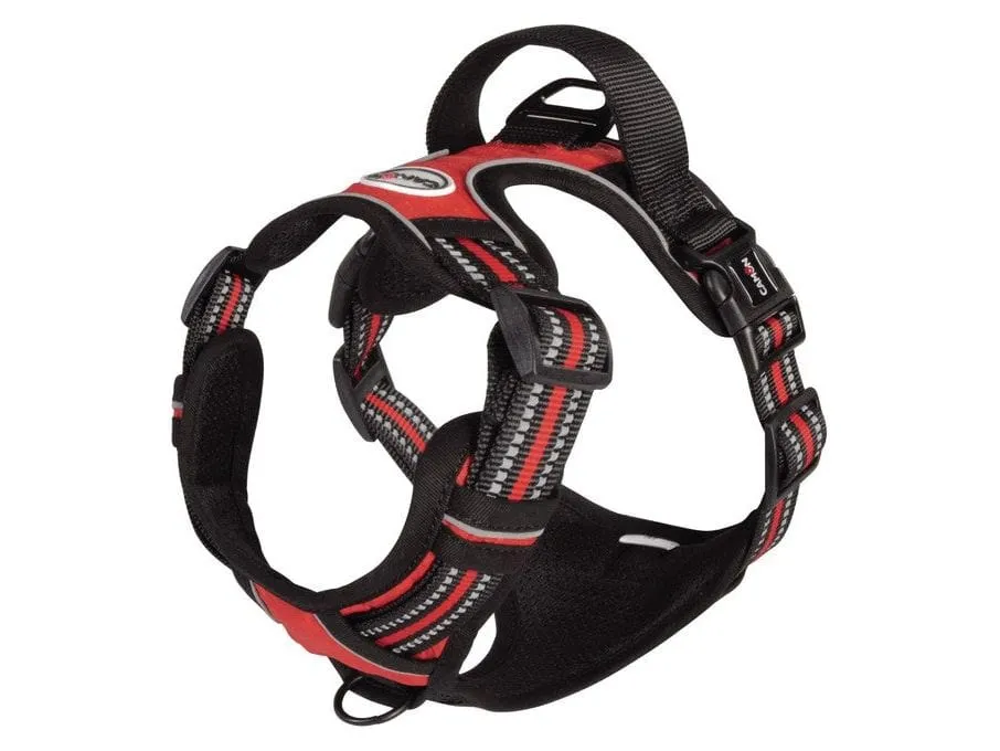 Reflective padded harness - ORANGE - XS