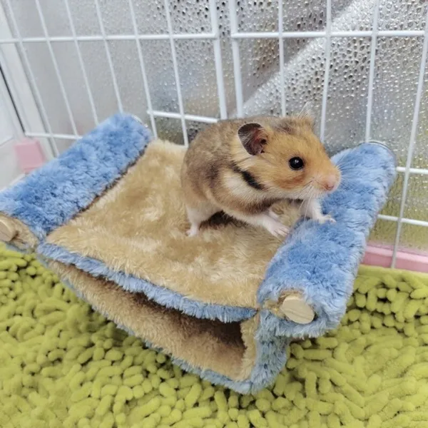 Small bed for hamster