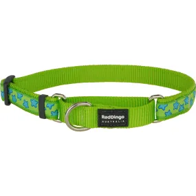 Turquoise Stars on Lime Green Martingale